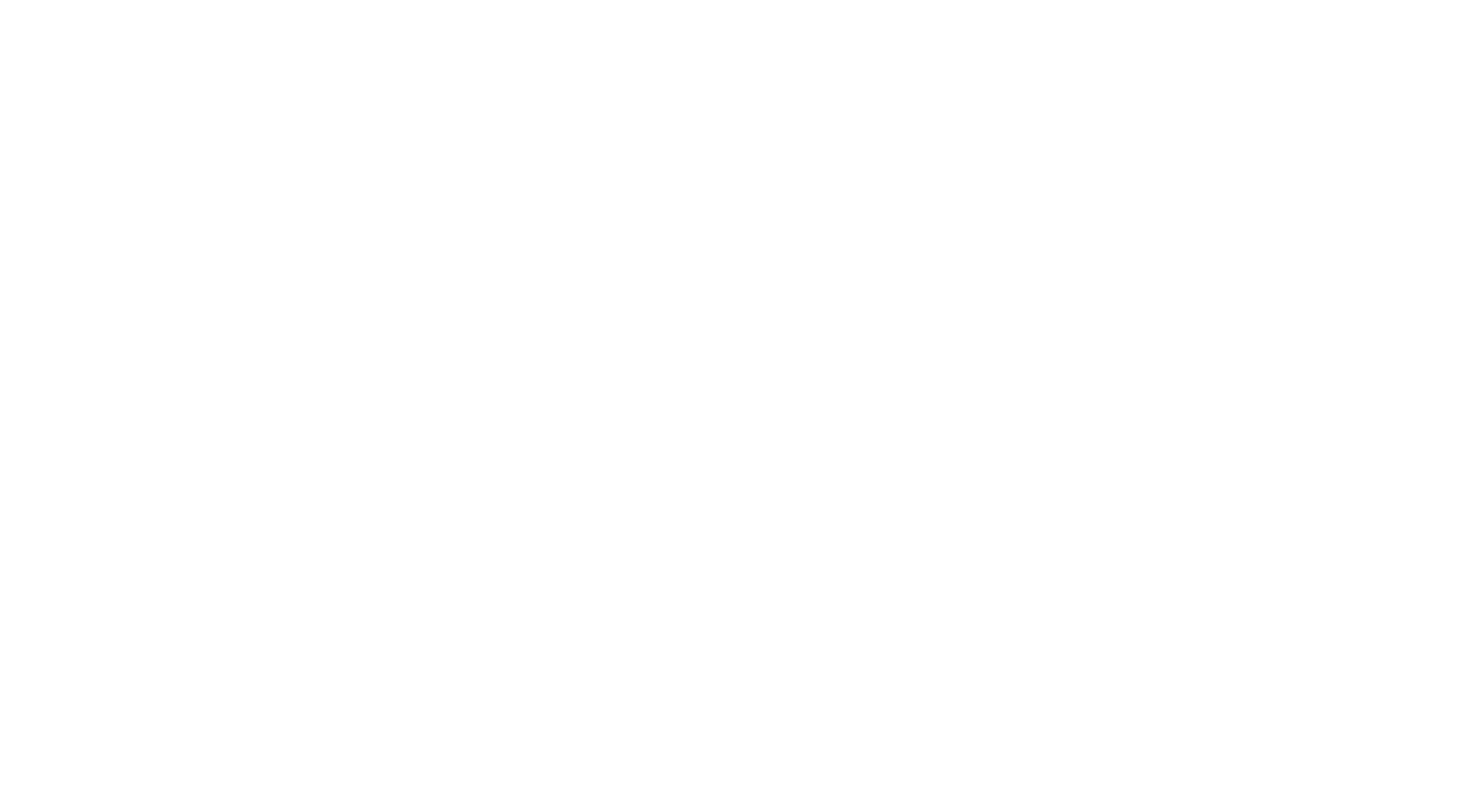 小码王